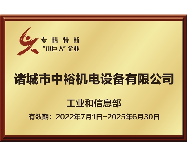 專精特新“小巨人”