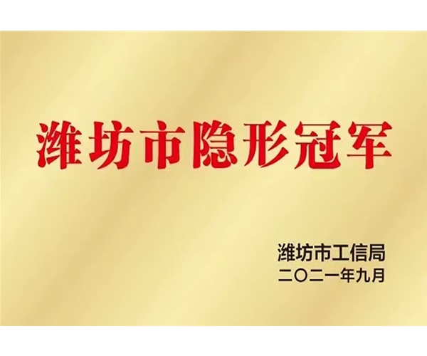 濰坊市隱形冠軍