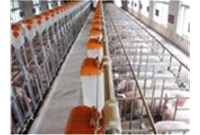 Principle and use of high pressure spray disinfection system?