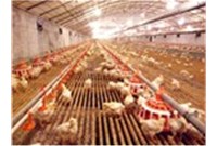 What is the required equipment for plastic fecal floor chicken farms?