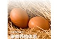 蛋雞養(yǎng)殖設(shè)備可以提供適宜的溫濕度