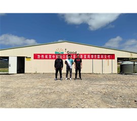 中裕海外非籠養蛋雞項目順利交付