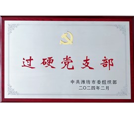 喜報(bào)！中裕黨支部榮獲濰坊市“過硬黨支部”稱號(hào)