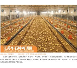 江蘇華石種雞項目