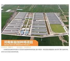 河南新益加種雞項目