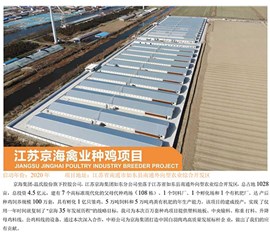 江蘇京海禽業種雞項目