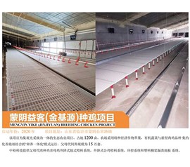 蒙陰益客(金基源)種雞項目