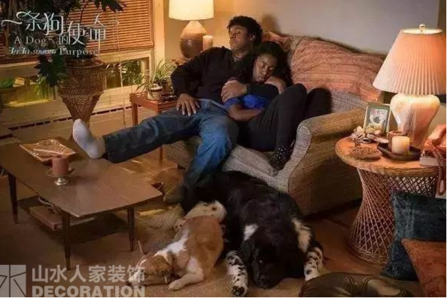 看電影.學(xué)裝修：因?yàn)橛心悖杂幸饬x